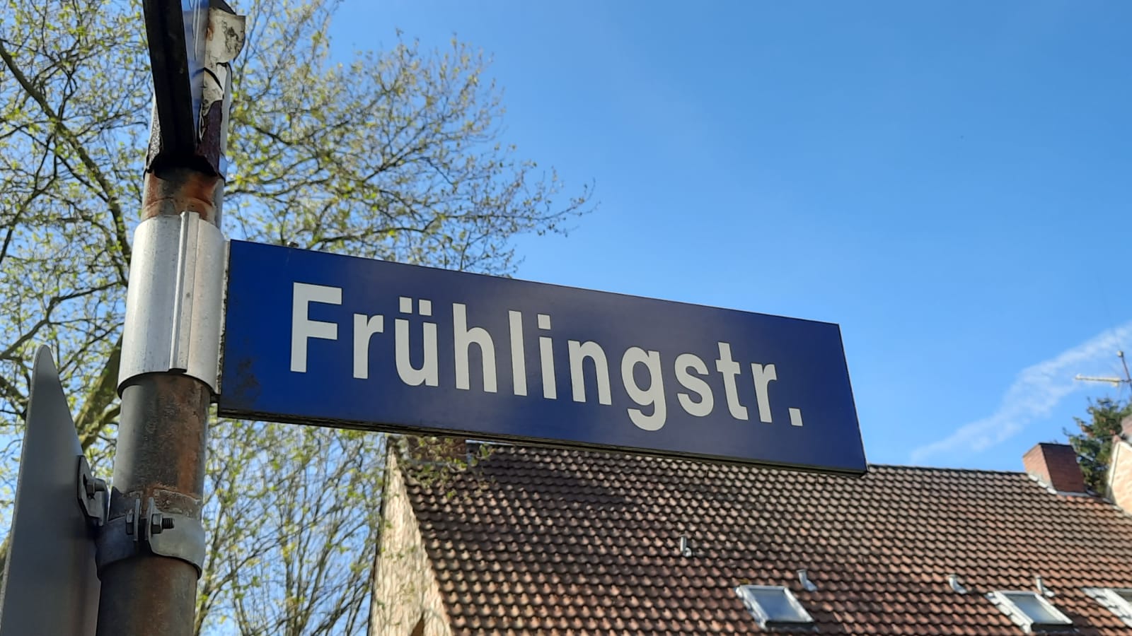 Frühling