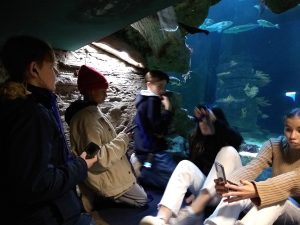 Aquarium in La Rochelle