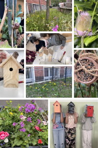 Collagae Garten-Fotos